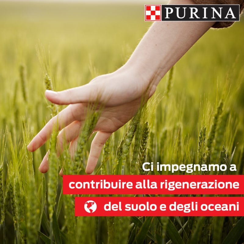 Purina